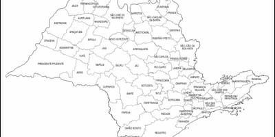 Зураг Сао Пауло онгон - бичил бүс
