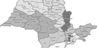 Зураг Сао Пауло, хар, цагаан