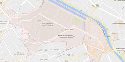 Зураг Butantã Сао Пауло